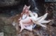 A woman in a white dress sitting on a rock next to a waterfall.